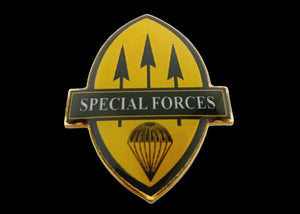 Special Forces Pin