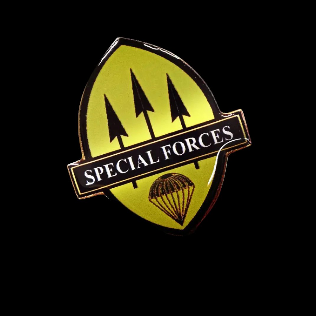 Special Forces Pin – Suarez Arts