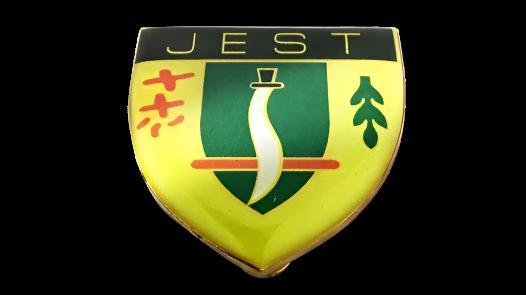 Jungle Environment Survival Training (JEST) Pin