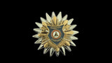 Admiral Staff Corps Pin